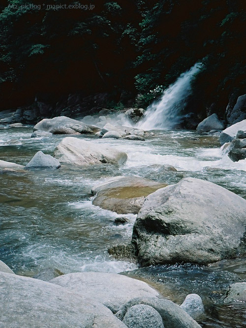e0097970_1994468.jpg