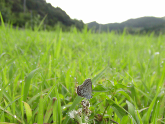 アナログ最後の日に房総へ_e0167571_21492526.jpg