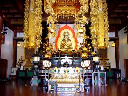 風の谷の浪江町 タンポポ日記_c0139575_15564011.jpg