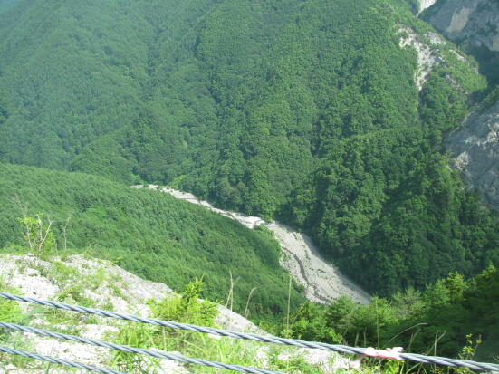 f0186275_2019207.jpg