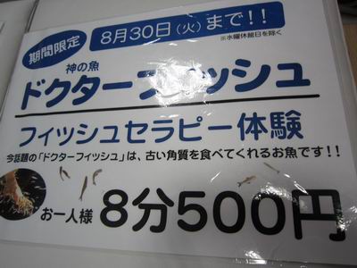 今日も三人でドライブ♪_c0218879_22374482.jpg