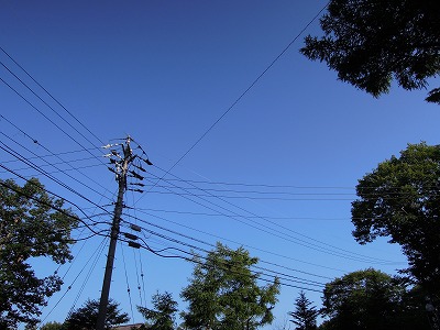 e0100086_01322.jpg