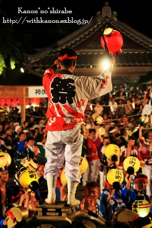 d0148187_8564029.jpg