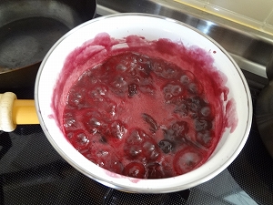 e0206490_19312957.jpg