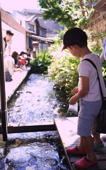 a0150193_1523019.gif