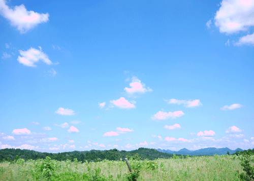 a0150193_2195795.gif