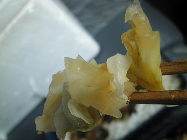 c0118393_8155056.jpg