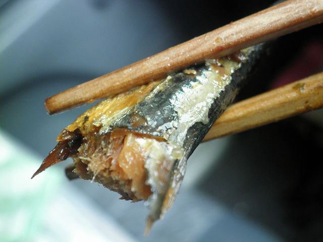 c0118393_8234415.jpg