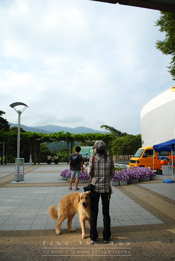 【犬的散歩日和】東名高速道路・足柄SA_f0054594_2391465.jpg