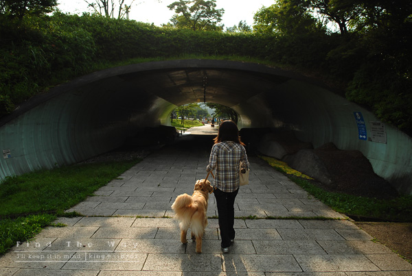 【犬的散歩日和】東名高速道路・足柄SA_f0054594_240213.jpg