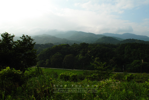 【犬的散歩日和】東名高速道路・足柄SA_f0054594_2413485.jpg