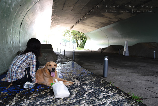 【犬的散歩日和】東名高速道路・足柄SA_f0054594_2423548.jpg