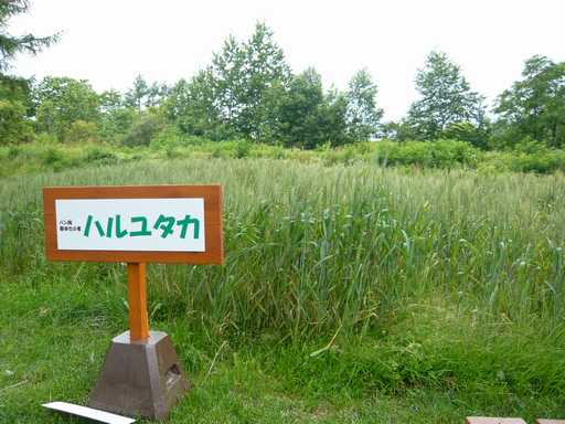 a0138500_2284866.jpg