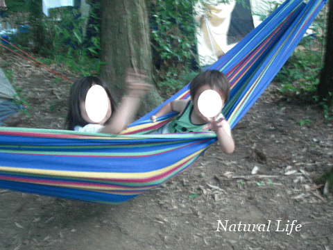 b0162000_247981.gif