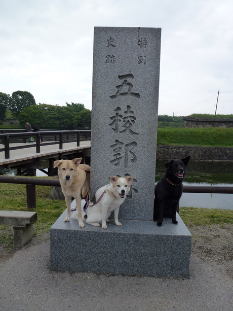 函館（北海道1日目）_f0144103_8585365.jpg