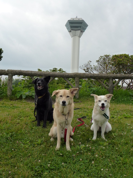 函館（北海道1日目）_f0144103_9122567.jpg