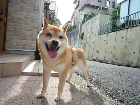 e0131506_2321591.jpg