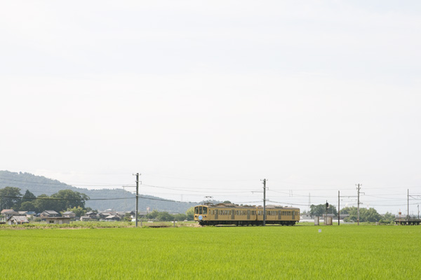 電車電車！_f0239107_22341154.jpg