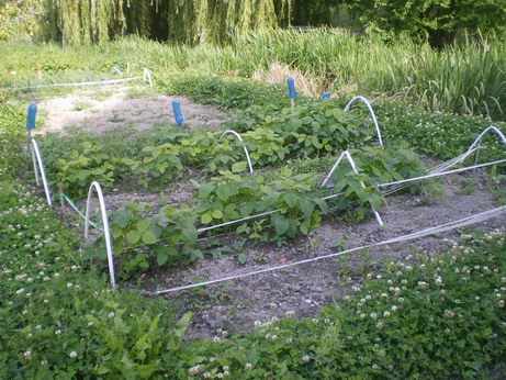 c0124619_4561668.jpg