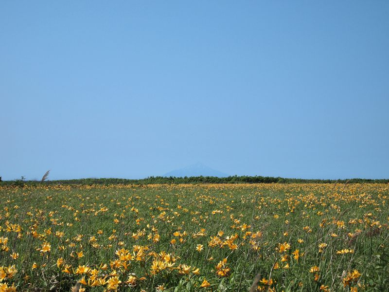 f0234423_22111450.jpg
