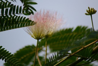 f0170524_13481869.jpg
