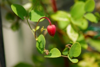 f0170524_14112216.jpg