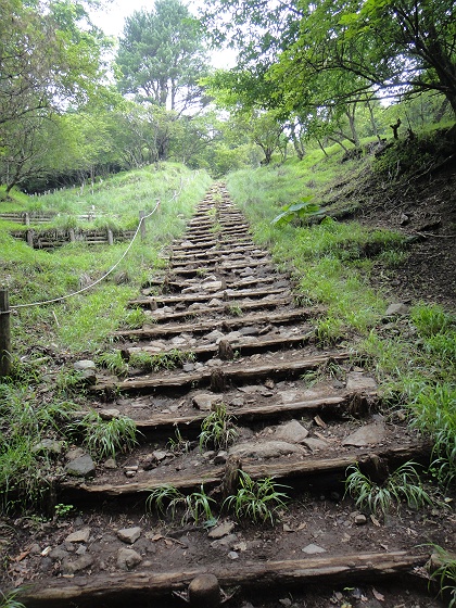 暑いぞ！真夏の塔ノ岳直登　その３_c0196928_2121546.jpg