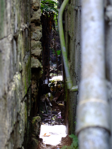 「バリ島2011 ウブドの路地裏」_a0000029_0123057.jpg