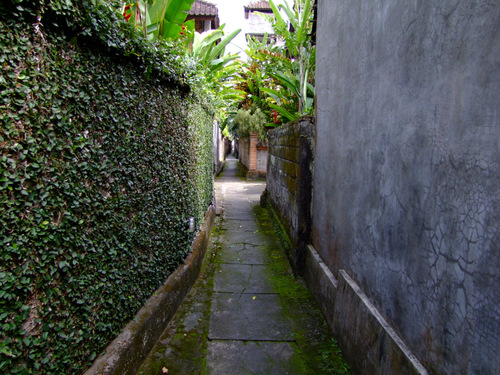 「バリ島2011 ウブドの路地裏」_a0000029_0141019.jpg