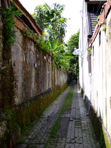 「バリ島2011 ウブドの路地裏」_a0000029_045567.jpg