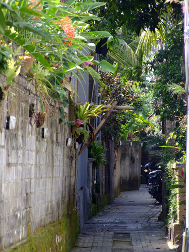 「バリ島2011 ウブドの路地裏」_a0000029_05322.jpg