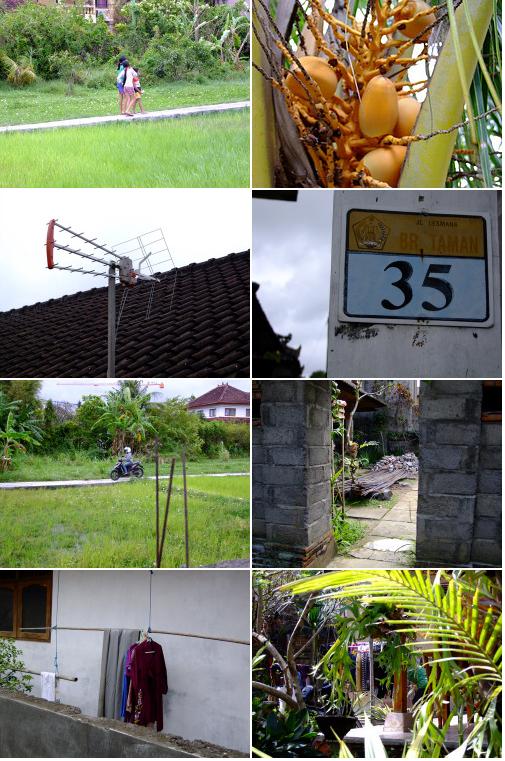 「バリ島2011 ウブドの路地裏」_a0000029_11265833.jpg