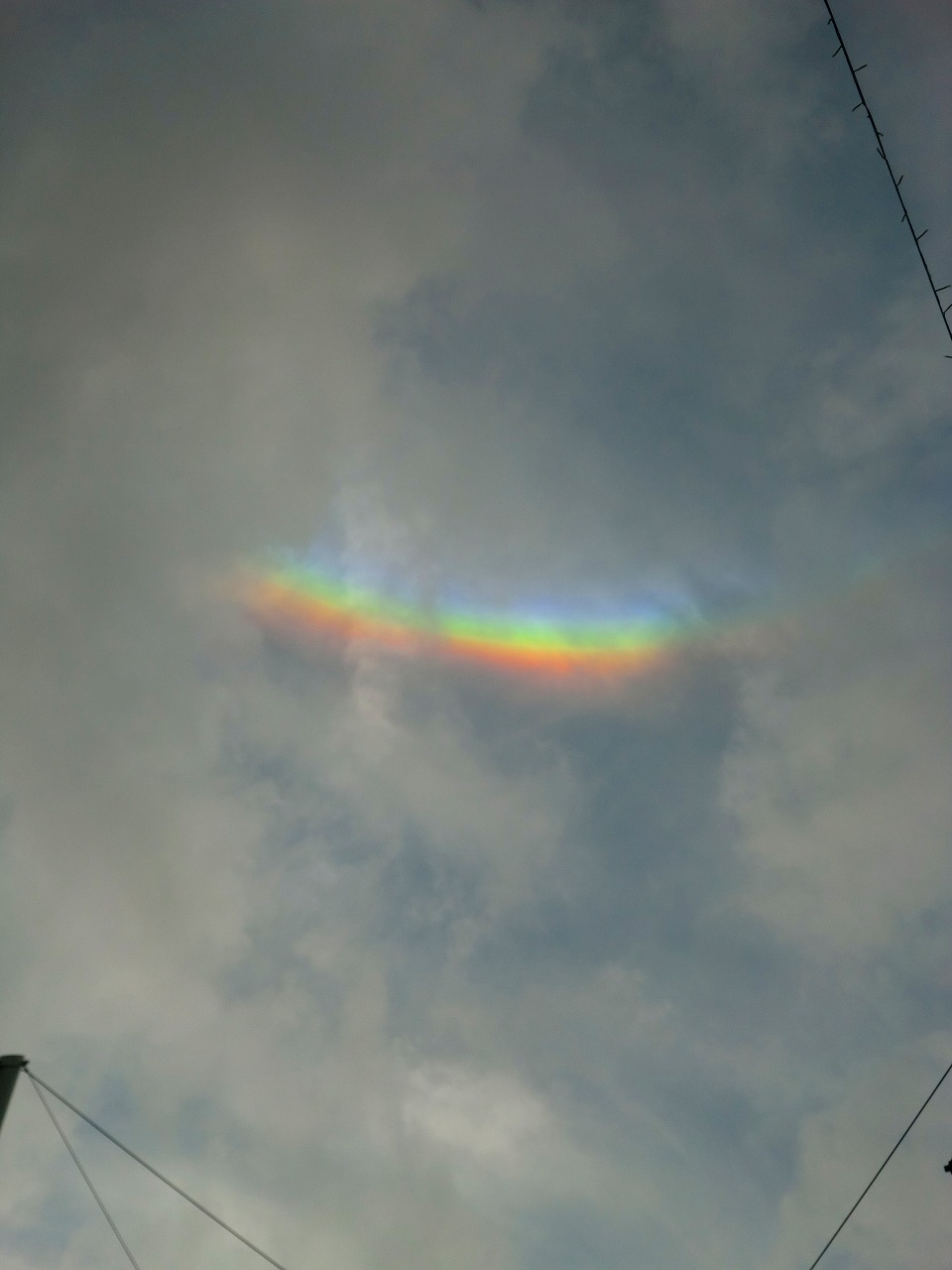 Rainbow☺_a0148431_033670.jpg