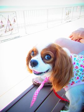 my 夏休み_f0204533_9252462.jpg