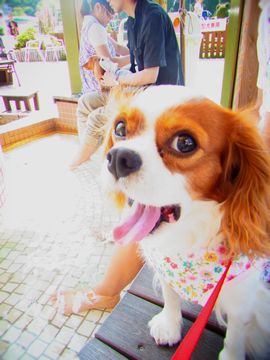 my 夏休み_f0204533_927757.jpg