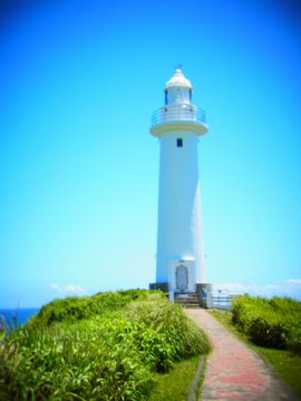 my 夏休み_f0204533_928579.jpg