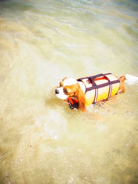 my 夏休み_f0204533_930364.jpg