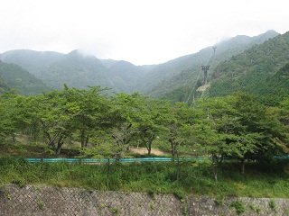 e0114137_16291388.jpg