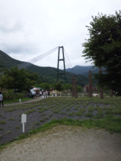 f0183340_5281159.jpg
