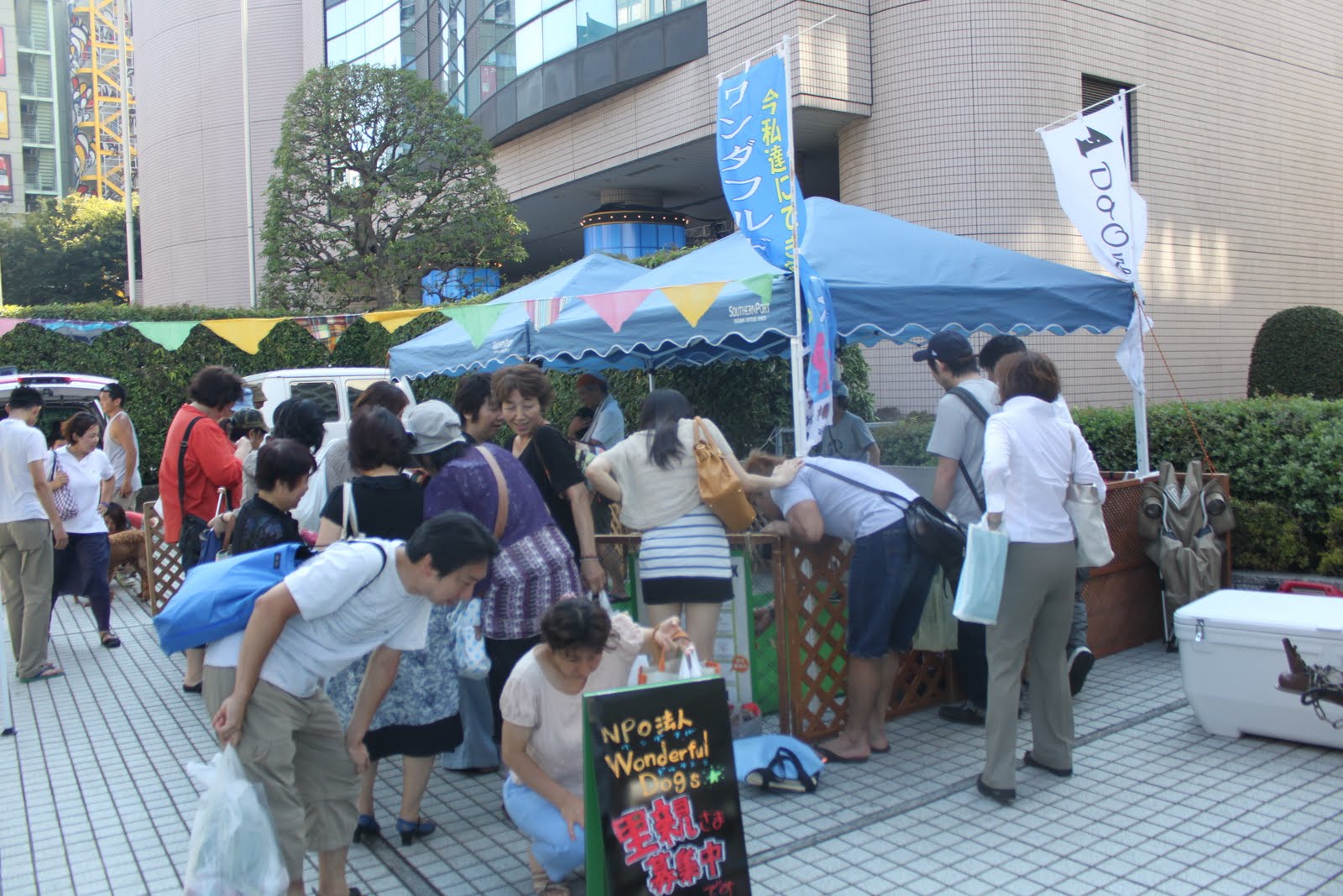 c0218443_16485464.jpg