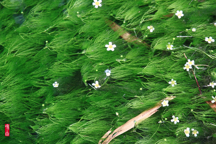 c0187744_23202645.jpg