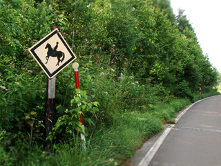 2011北海道~4日目・美瑛 三愛の丘編_d0227246_12302465.jpg
