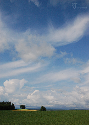2011北海道~4日目・美瑛 三愛の丘編_d0227246_12303225.jpg