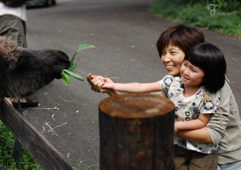 2011北海道~5日目・中富良野 宿編_d0227246_13291677.jpg