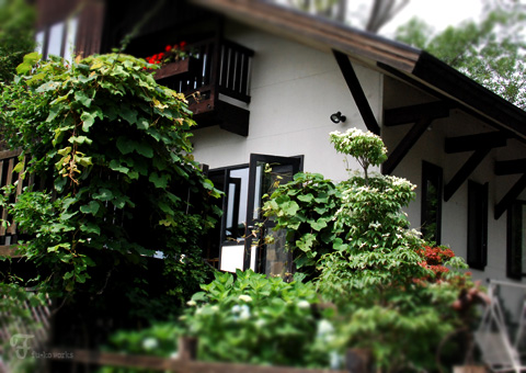 2011北海道~5日目・中富良野 宿編_d0227246_13293094.jpg