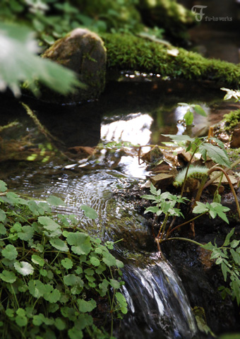 2011北海道~7日目・山部/富良野_d0227246_21281371.jpg