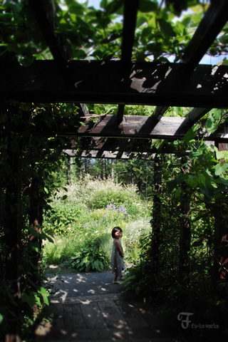 2011北海道~7日目・山部/富良野_d0227246_21282343.jpg