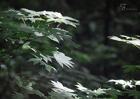 2011北海道~7日目・山部/富良野_d0227246_2128634.jpg
