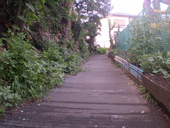 d0250051_17049.jpg