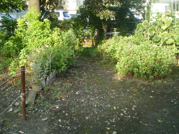 d0250051_17501.jpg